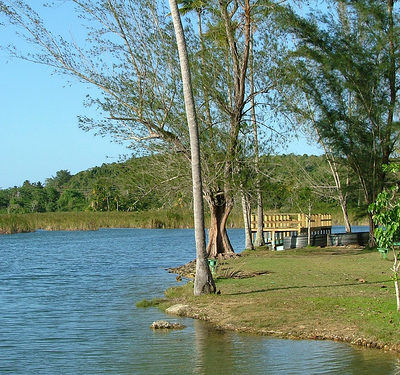 Puerto Rico: Laguna Tortuguero